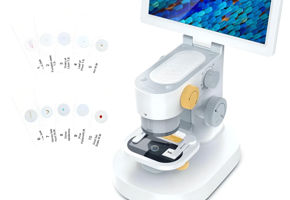 how does a digital microscope work