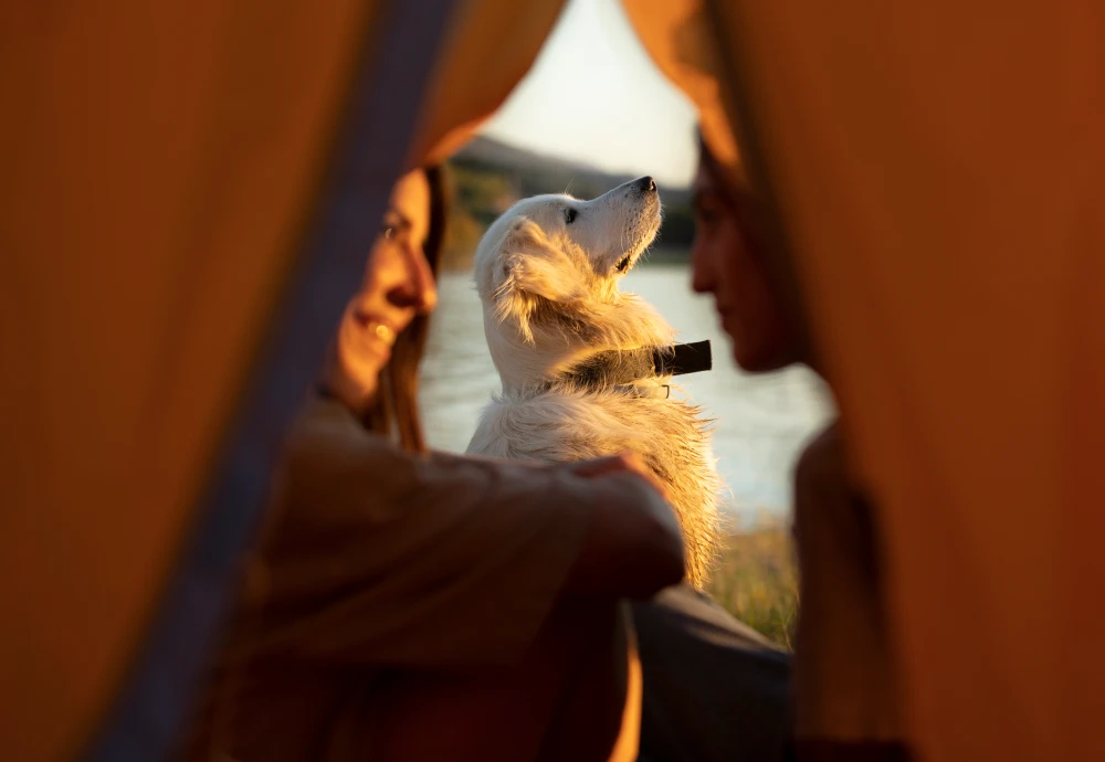 3 person ultralight tent