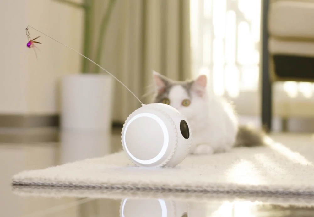 best pet watching camera