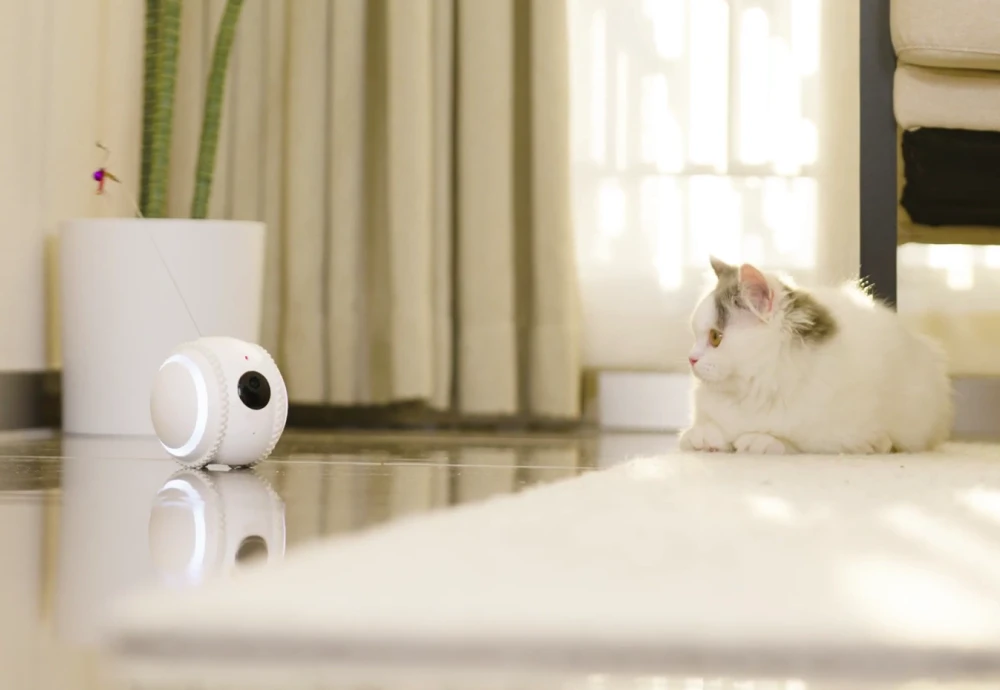 best in home cameras for pets