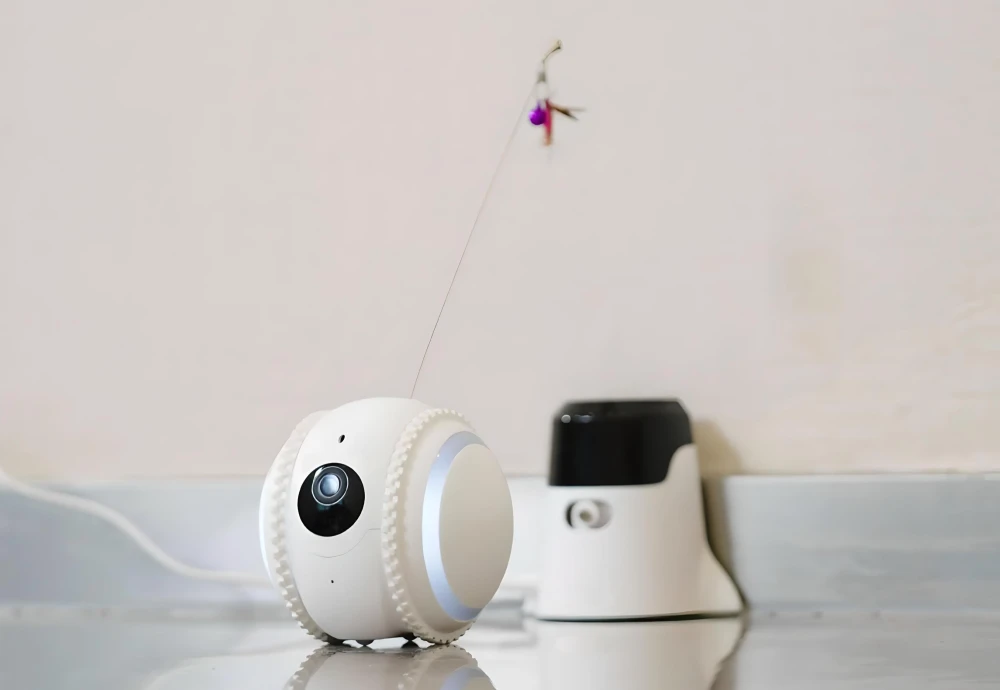 pet video camera monitor