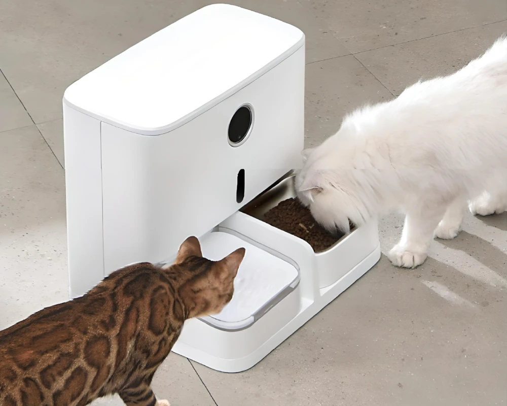 automatic dog food feeder